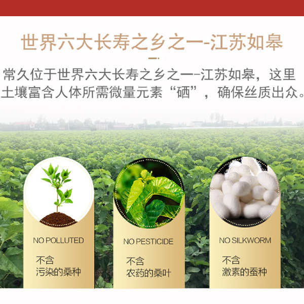 杭州生产蚕丝被的厂家