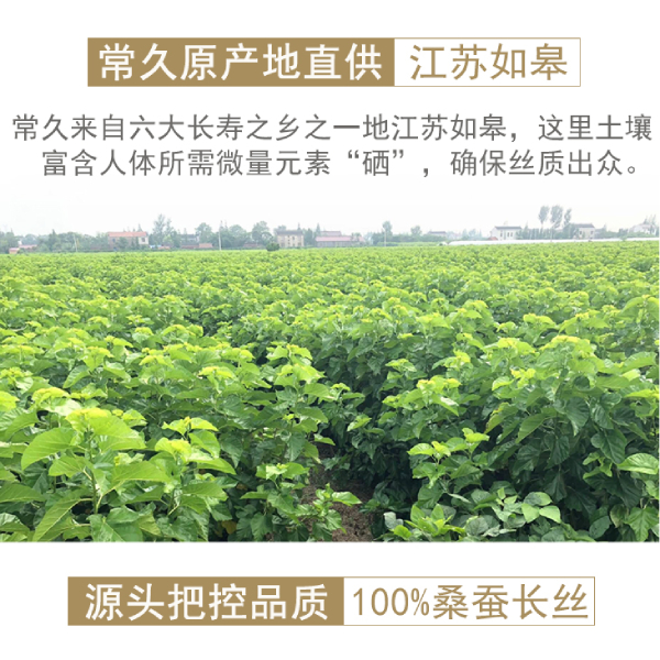 上海蚕丝被制造企业