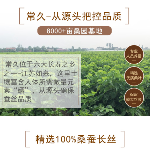 杭州蚕丝被一般价格多少