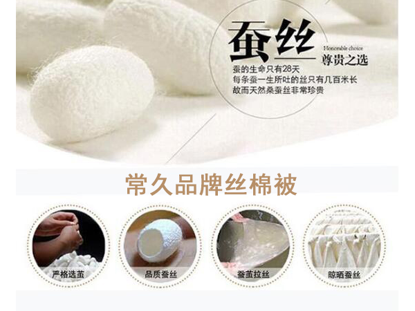 丝棉被批发市场-找到源头工厂很重要[常久]