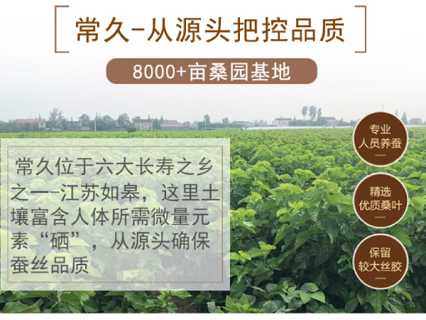 上海卖蚕丝被的地方-找商家其实也不易[常久]