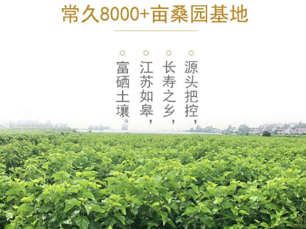杭州哪里有桑蚕丝被卖-健康生态的原产地更有优势[常久]
