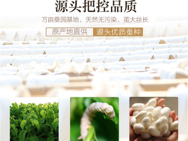 中国桑蚕丝被生产厂-好的蚕丝还来源于一个好土水[常久]