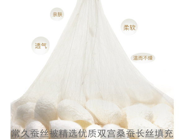 纯蚕丝被长丝棉-好质量看得见[常久]